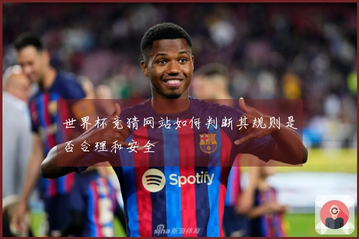 世界杯竞猜网站如何判断其规则是否合理和安全