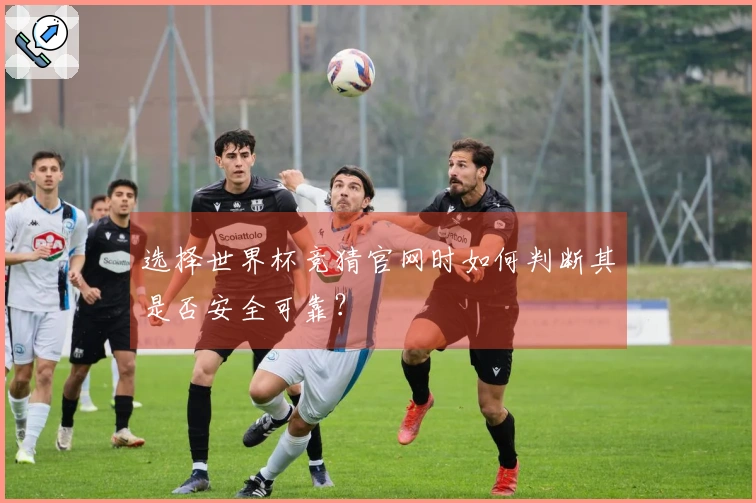 选择世界杯竞猜官网时如何判断其是否安全可靠？