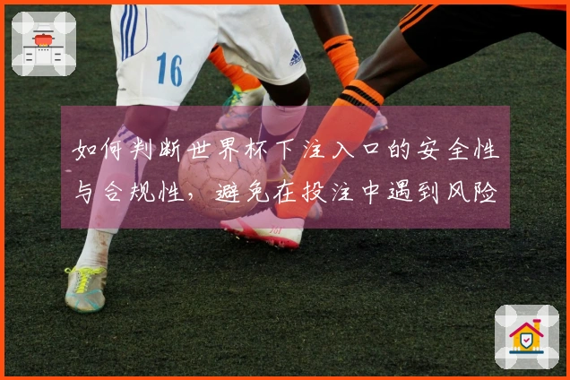 如何判断世界杯下注入口的安全性与合规性，避免在投注中遇到风险