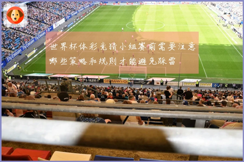 世界杯体彩竞猜小组赛前需要注意哪些策略和规则才能避免踩雷